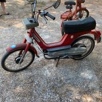 50 cc boxer + chimatti