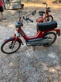 50 cc boxer + chimatti