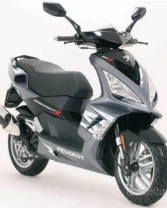 PEUGEOT SPEEDFIGHT 3 RS 50 2T RICAMBI