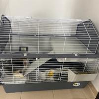 Gabbia per coniglio
