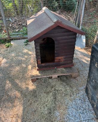 Cuccia per cani di media taglia