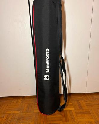 Manfrotto MB LBAG110 – Borsa Professionale