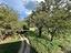Immagine 23