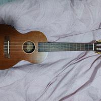 ukulele amplificato