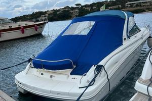SEA RAY 290