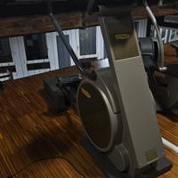 Glidex Elittica Technogym