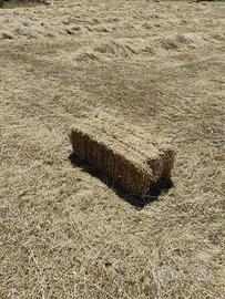 Foraggio in ballette