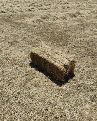 Foraggio in ballette