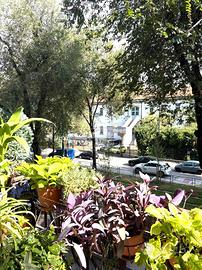 3 LOCALI A MILANO