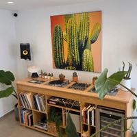 Mobili  per Dj,vinili dischi ,giradischi 