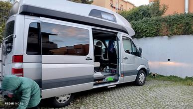 Magnifico James Cook.