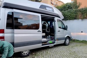 Magnifico James Cook.