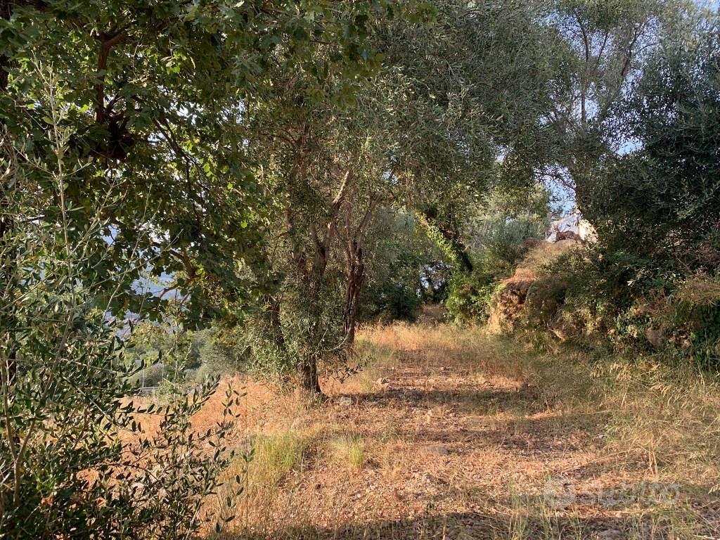 Terreno di 1400 m² a Camporosso - Vista 4