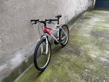 Bicicletta da donna con forcella ammortizata