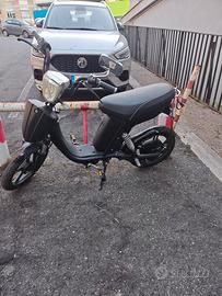 Bicicletta Elettrica