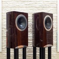 Tannoy - Diffusori da Stand - DC8