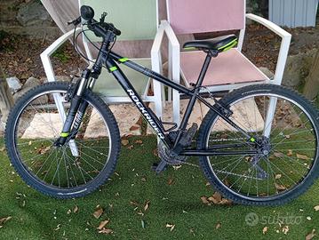 bicicletta da bambino 
