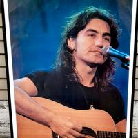Quadro manifesto Luciano Ligabue 