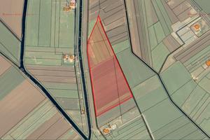 Terreno agricolo di 6 HA ideale per kiwi | TR472