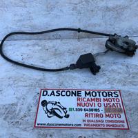 Pinza tubo pompa posteriore Pegaso 650 05 09