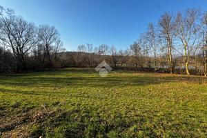 TER. AGRICOLO A NIBIONNO