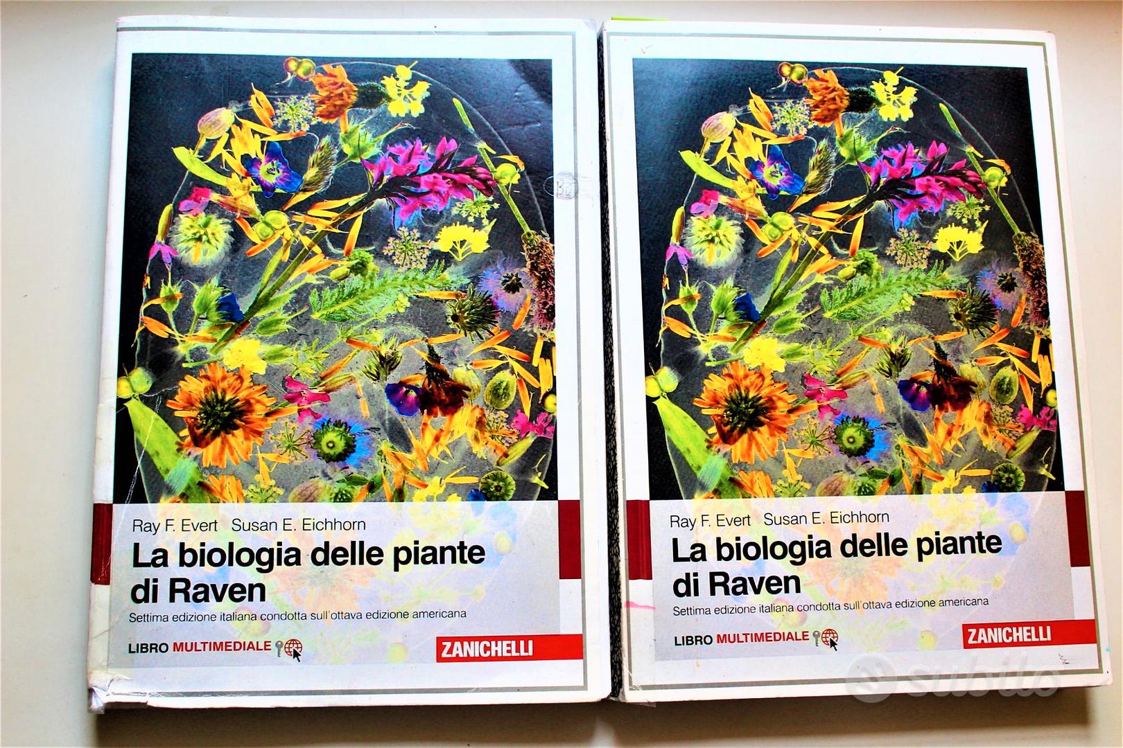La Biologia Delle Piante Di Raven Zanichelli Libri e Riviste In vendita a Ancona