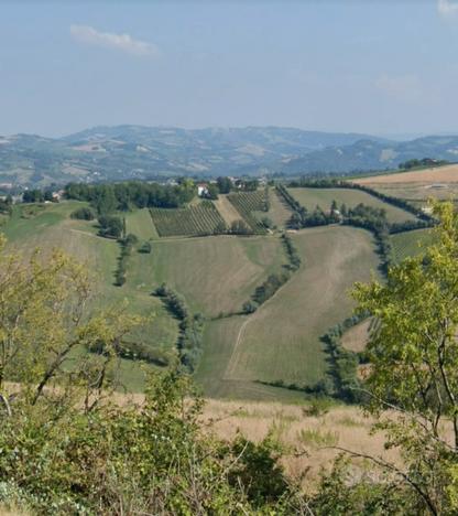 Terreno Agricolo Meldola