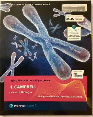 IL CAMPBELL
