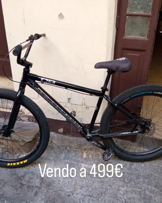 MTB bici C2 collective