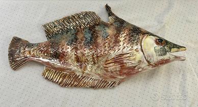 Pesci marini da muro terracotta ceramica