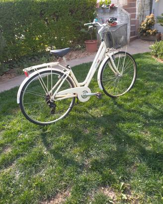  city bike  sport con cestino  