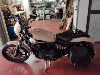 Harley Davidson XL883N