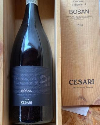 Amarone Magnum Cesari 2004