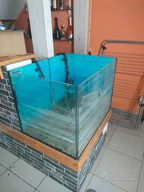 Acquario Vasca