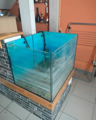Acquario Vasca