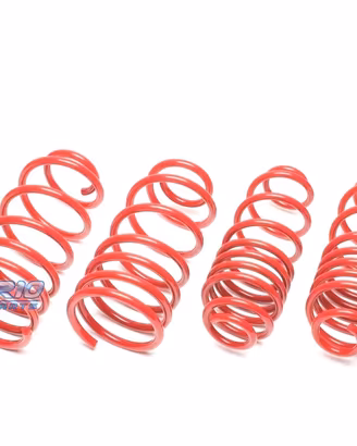 KIT MOLLE SPORTIVI PER FIAT