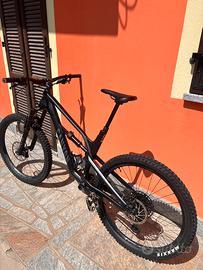 Canyon Spectral 2021 Taglia L