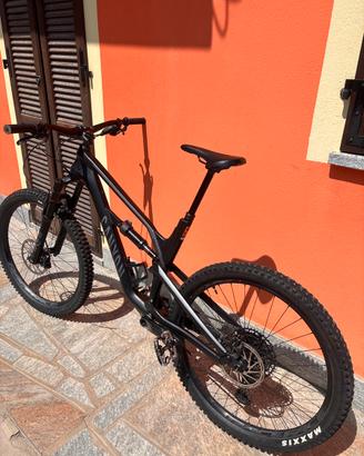 Canyon Spectral 2021 Taglia L