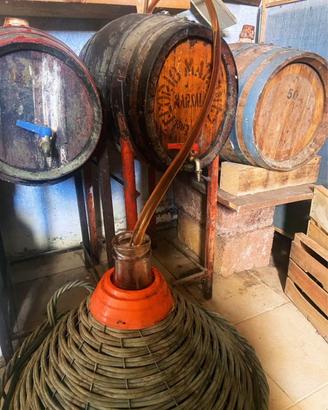 Vin Santo 2020