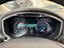 Immagine 13