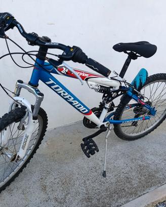 Mountain bike 24