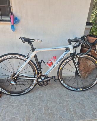 Bici Carbonio