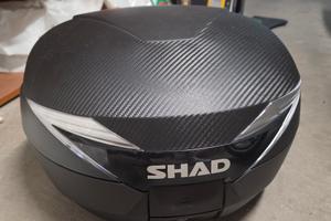 Bauletto shad Sh39 con piastra piaggio beverly 