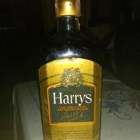 bottiglia di liquore alle erbe amare