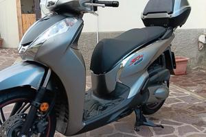 Sh 300 sport 2028