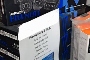 kit 2 vie 165 Harmony by ESB woofer