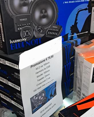 kit 2 vie 165 Harmony by ESB woofer