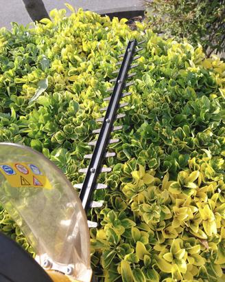 Taglia Siepi Foliage 5-50 500W