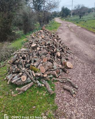 legna da ardere 