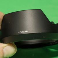 Paraluce Lumix H-FS12060